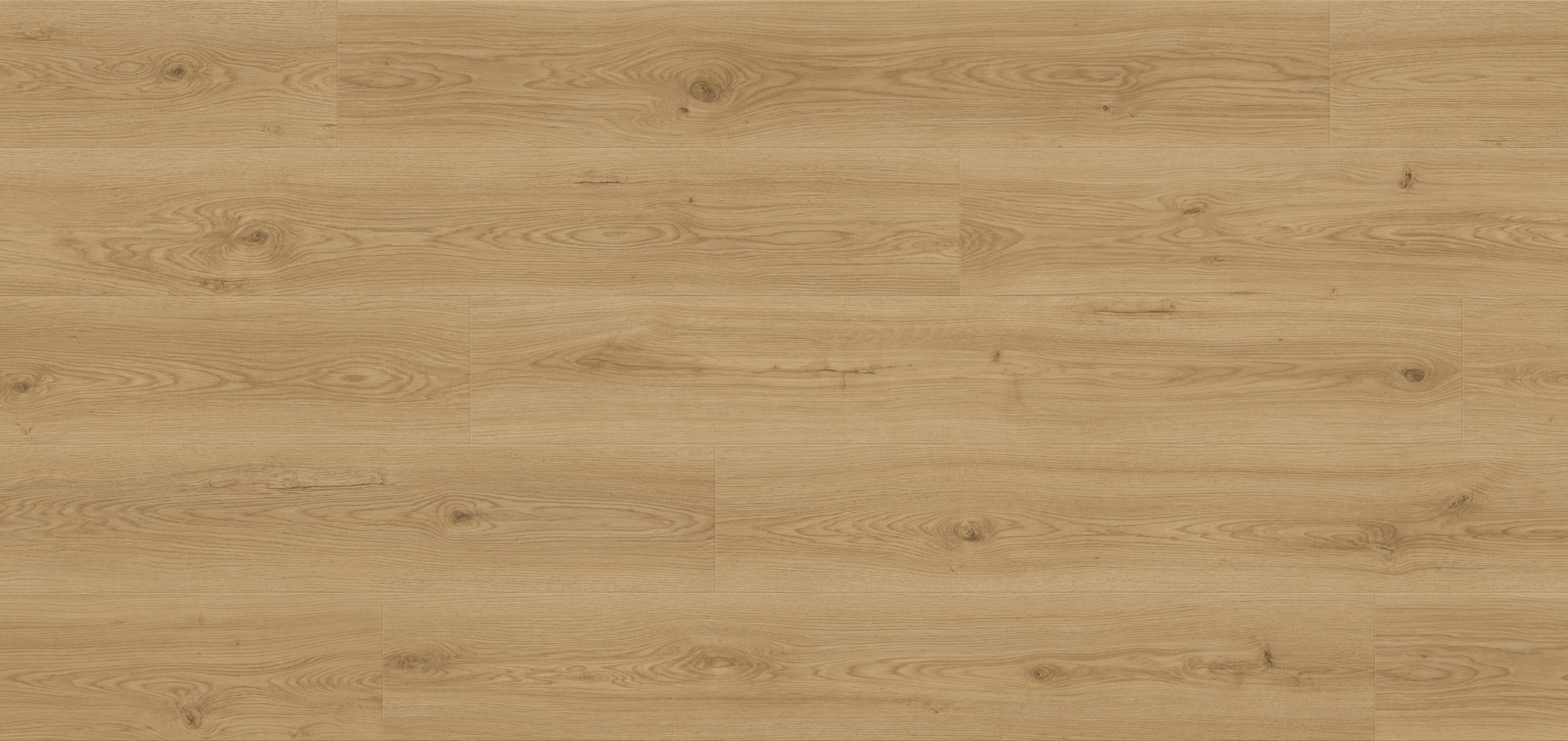 Sperrholz, Holz, Fußboden, Bodenbeläge, Innenarchitektur