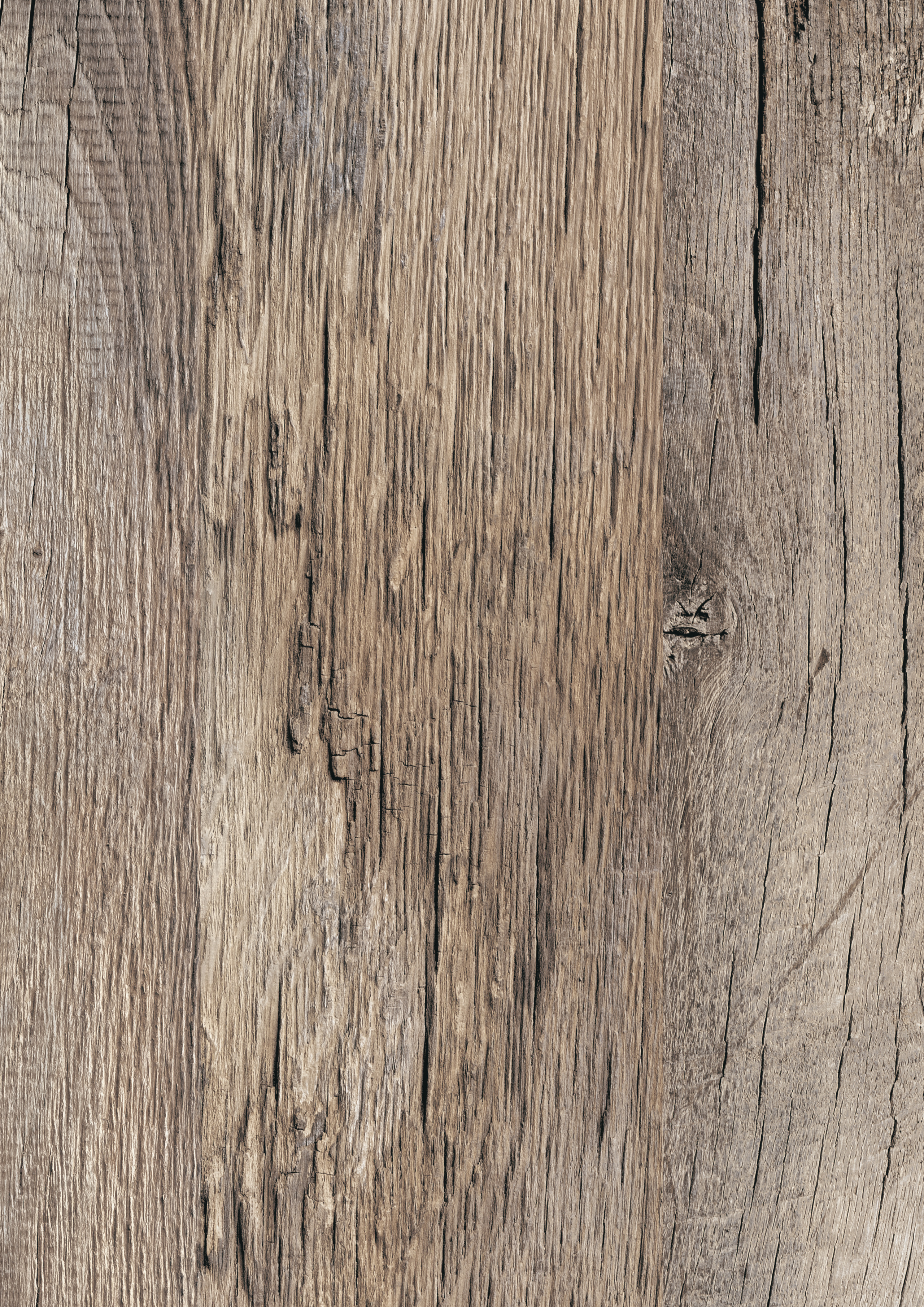 holz, holzplatte, holzwand, holztextur, naturholz