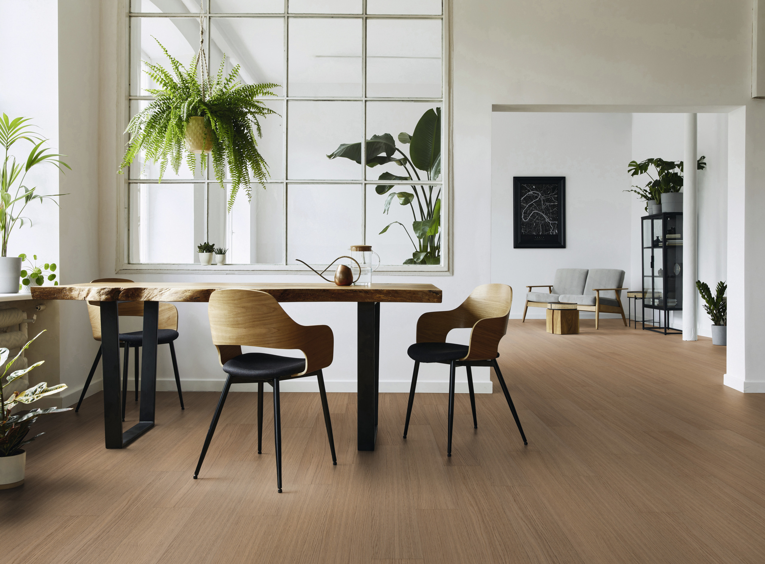 wohnzimmer, tisch, stuhl, pflanzen, holzboden