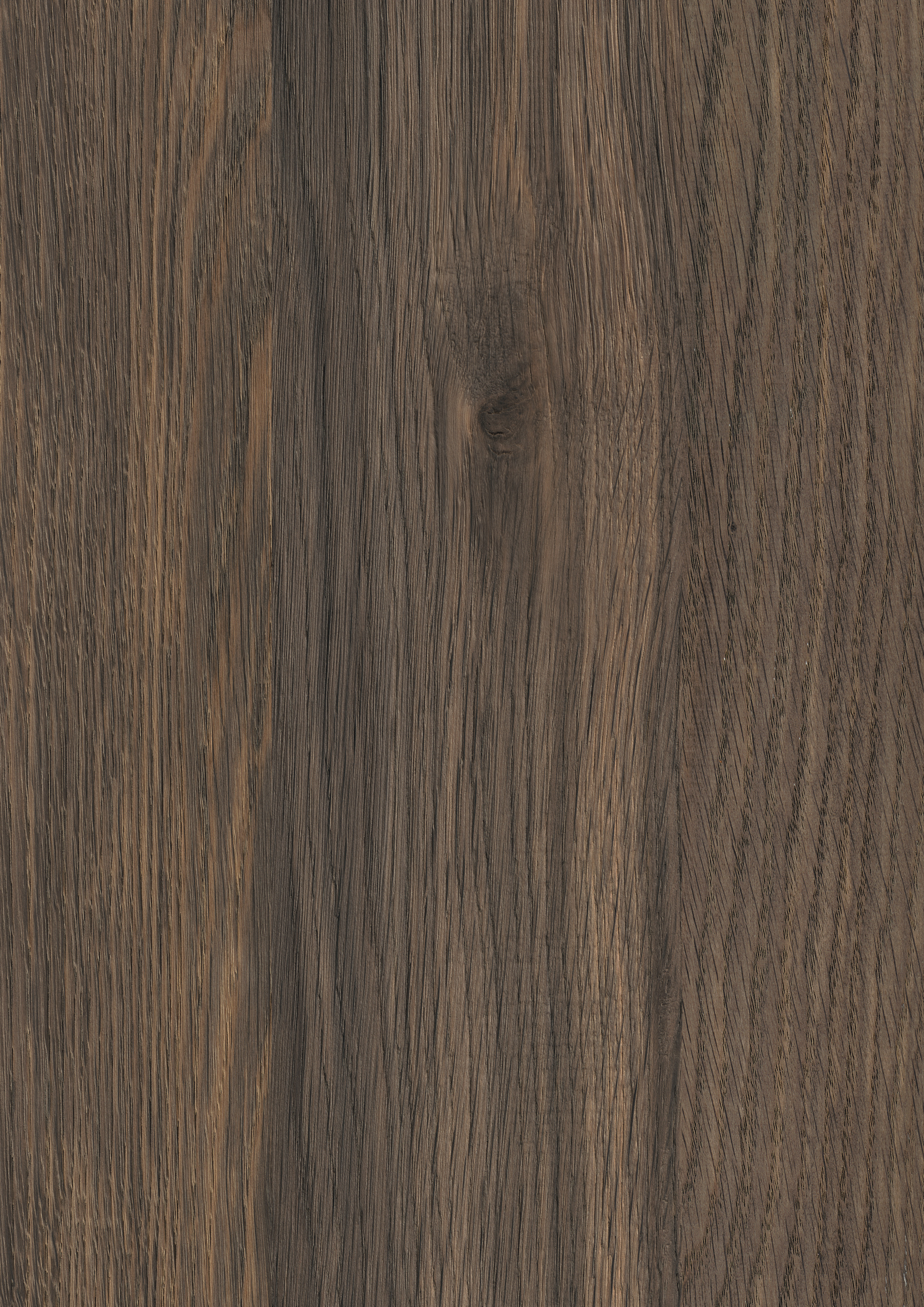 Holzoberfläche, Holztextur, braunes Holz, Jahrringmuster, Plattenoberfläche