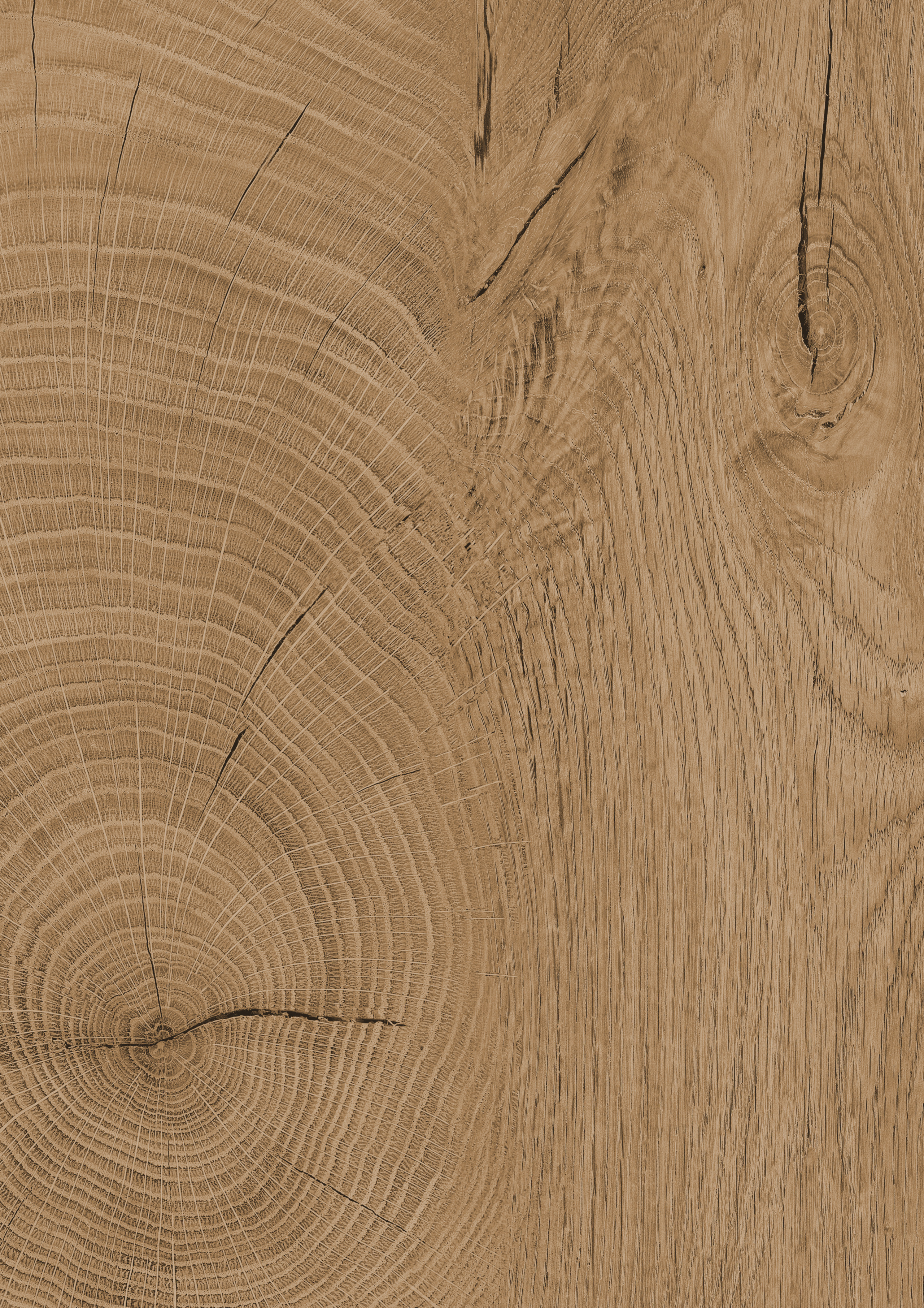 Holzoptik, Holzmaserung, Holzplatte, Holztextur, Holzbild